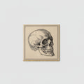 Servilletas Calavera Vintage - Pack Celebración x 16u