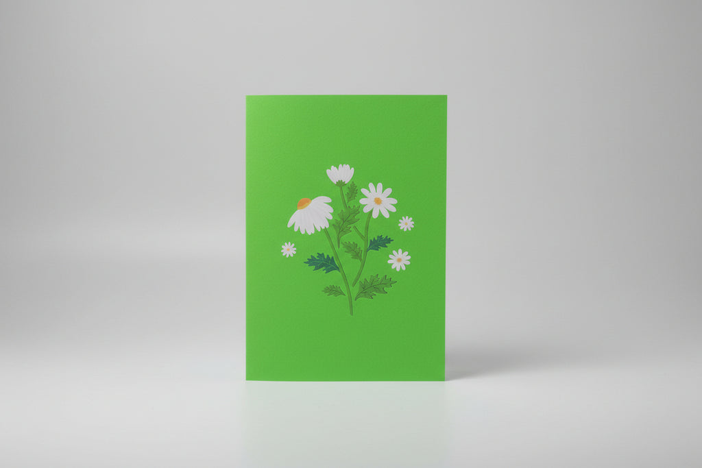 Tarjeta pop up margaritas y mariposas