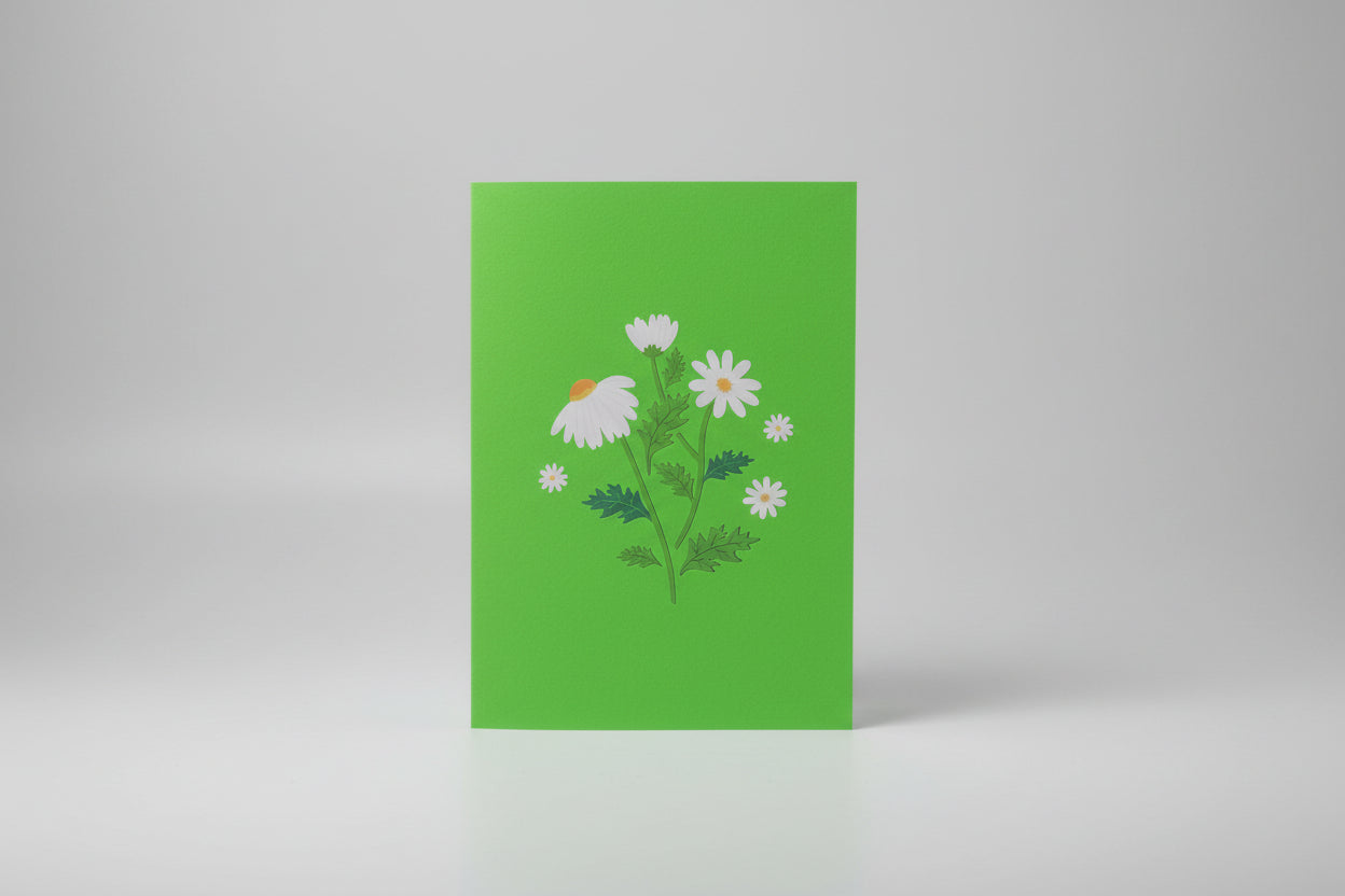Tarjeta pop up margaritas y mariposas