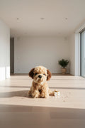 Peluche Perro de 15cm